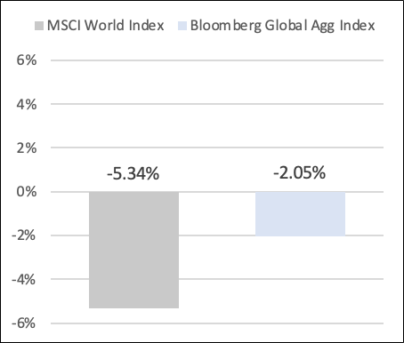 Wavelength Insights - Figure 2: Stock & Bond Market Returns, Jan. 2022